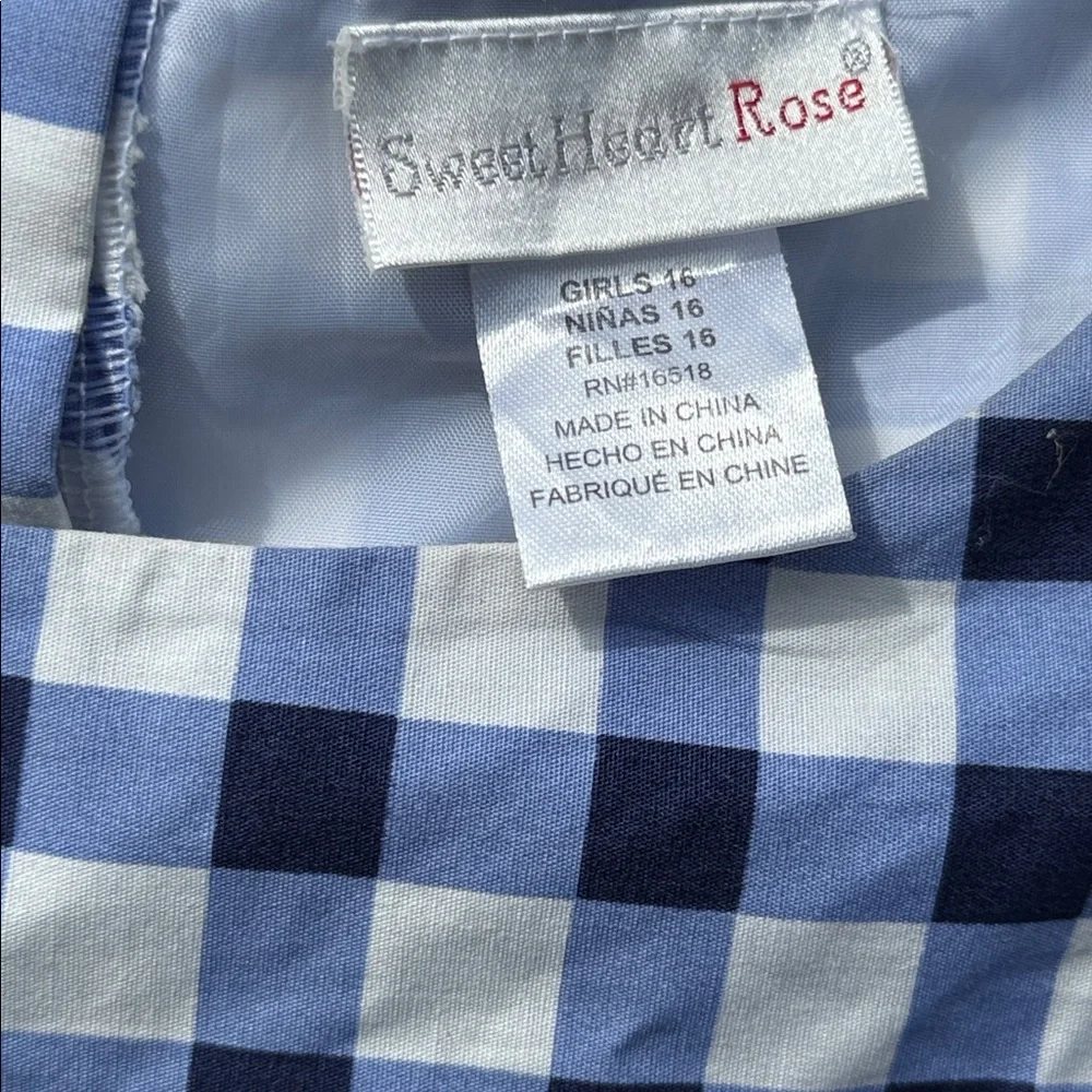 Sweet Heart Rose Blue Gingham Checkered Daisy Dress Size 16 Girls